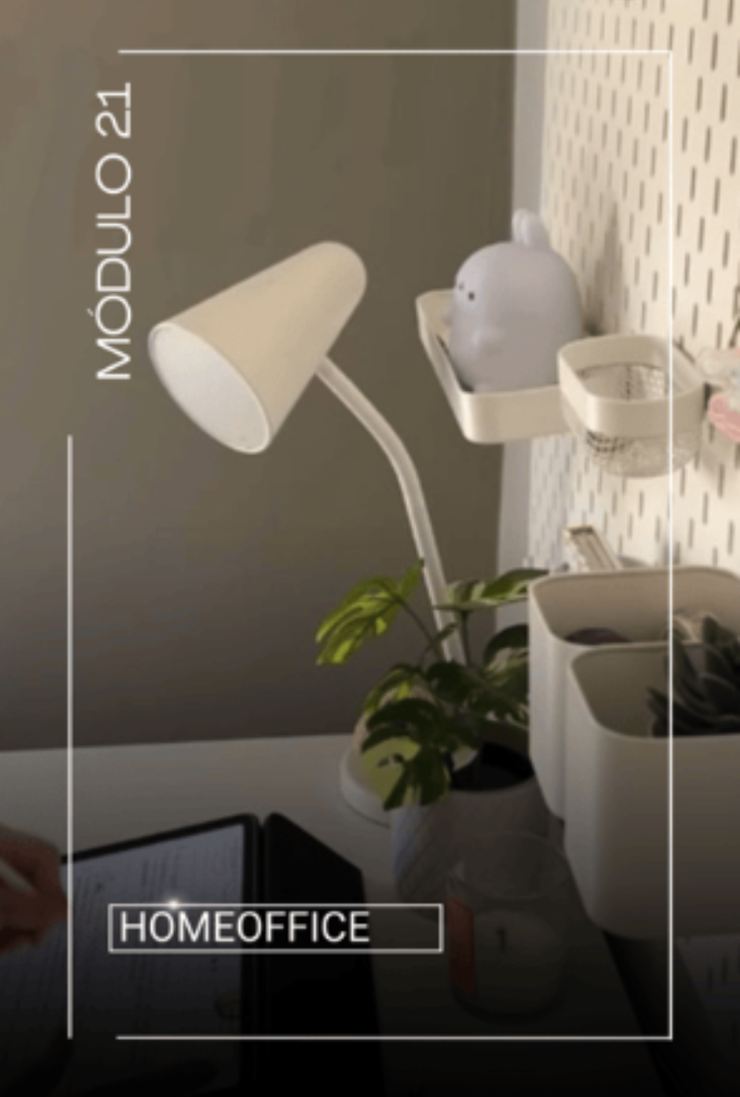 MODULO24